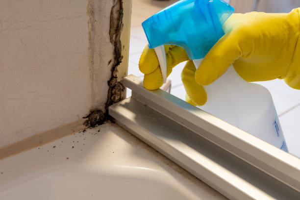 Mold Odor Removal Services in Mcconnellstown, PA